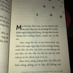 Chuyện con mèo và con chuột bạn thân của nó - Luis Sepúlveda 993634