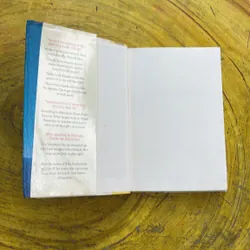 GOODBYE STRANGER- REBECCA STEAD 711944