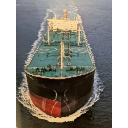 Portrait in Oil - Berry Ritchie 1005854