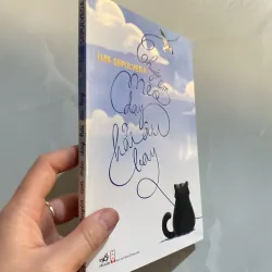 Chuyện con mèo dạy hải âu bay 937456