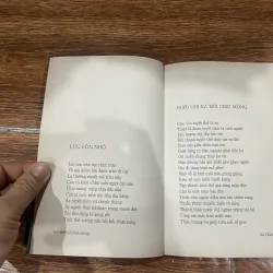 Rớt hột phiêu bồng - Bùi Giáng (7) 310640