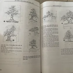 200 Kiệt Tác Bonsai Thế Giới 593874
