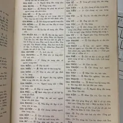 HÁN VIỆT TÂN TỪ ĐIỂN - NGUYỄN QUỐC HÙNG 719553