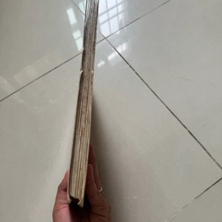 Gương buồm lên 522707