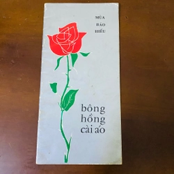 Mùa báo hiếu bông hồng cài áo