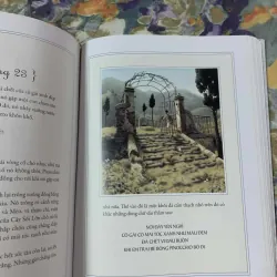 Những Cuộc Phiêu Lưu Của Pinocchio - Carlo Collodi 564869