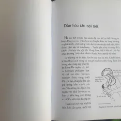 Kỳ Diệu Dàn Điều Hòa Nội Tiết 712080