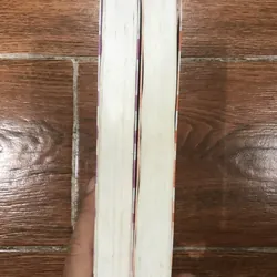 Nhật ký ngốc xít tập 1.2 519615