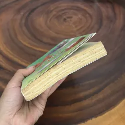 II Tựa Sách: 24 Cung Bậc Trái Tim - Trang Thơ, Lâm Moon, Xuân Oanh, Thẩm Quỳnh Trân - 2014 976287