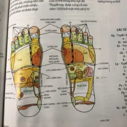 Sách dạy massage cho mọi lứa tuồi 1001311