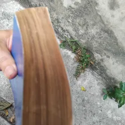 Tâm sự tướng lưu vong - hồi ký Hoành Linh Đỗ Mậu  1019162