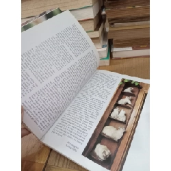 Before you buy that kitten - Phil Maggitti 753377