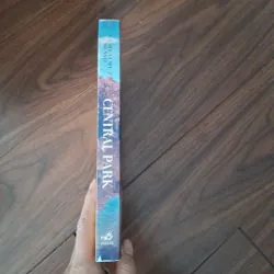 Central park - gullaume musso 734268