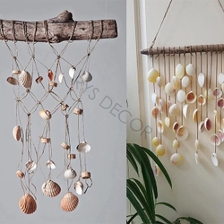 Combo Vỏ ốc sò làm tranh handmade- 40 vỏ 508952