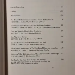 Blake’s Sublime Allegory: Essays on The Four Zoas, Milton, and Jerusalem 783247