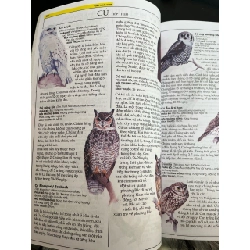 Các loài chim - Nhóm tác giả Elicom 785048