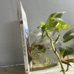 Những bất hạnh của Sophie 750755