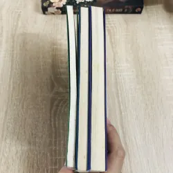 HIỆU ỨNG CHIM MỒI ( 3 tập) 1003982