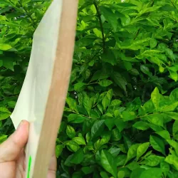 An Nam dịch ngữ do Vương Lộc giới thiệu và chú giải 1001269