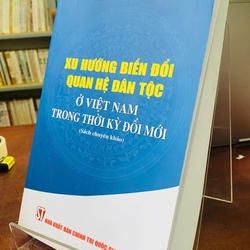XU HƯỚNG BIẾN ĐỔI QUAN HỆ DÂN TỘC Ở VIỆT NAM TRONG THỜI KỲ ĐỔI MỚI - TRƯƠNG MINH DỤC 538844