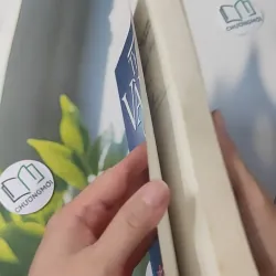 Thời Cơ Vàng Của Chúng Ta 961244