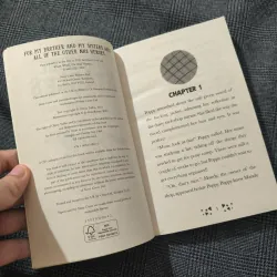 Sunshine Stables: Poppy and the Perfect Pony - Olivia Tuffin  754578