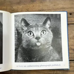 The Blue Day Book - Bradley Trevor Greive 728434