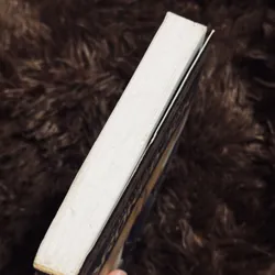 Chuyện tình núi BrokeBack 719006