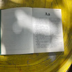 TỪ ĐIỂN KINH TẾ VIỆT- ANH- NGUYỄN VĂN LUẬN 731549