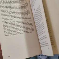 [MIỄN PHÍ BỌC SÁCH] [XƯA] The Chinese Assassin (1978) - Anthony Grey 990087