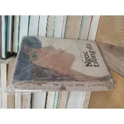 Ngọc trong đá - Nguyễn Đông Thức 175224