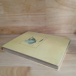 Ở Xứ Cỏ Rậm (Nxb Cầu Vồng, 1988) - Vla-đi-mia Bra-ghin 675487