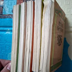 Không Gia Đình (bộ 5 tập) 789372