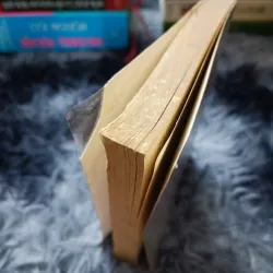 Con mắt thơ (Đỗ Lai Thúy) 1023961