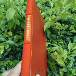 Nhóc Nicolas, quả bóng và những chuyện chưa kể 936598