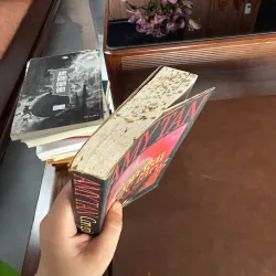 CON GÁI THẦY LANG – AMY TAN | TIỂU THUYẾT VĂN HỌC NƯỚC NGOÀI ĐẶC SẮC 976001