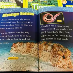 National geographic (Sách nhập) - Level 2 - Full bộ mới nhất 41 quyển + File Mp3 759653