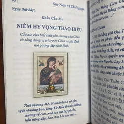 Suy niệm và cầu nguyện kính Đức Mẹ Hằng Cứu Giúp 732969