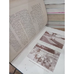 Les eaux d'égypte - A. Azadian 738544