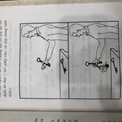 Cảm xạ học thực hành 762472