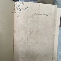 LỬA SÁNG RỪNG 704016