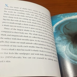 PICTURE BOOK Sharks 536435