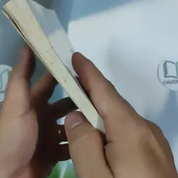 Hạt Chò Chỉ - Lê Minh 798479