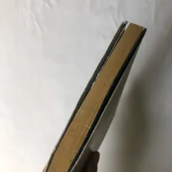 Đong Tấm Lòng - Nguyễn Ngọc Tư 782227