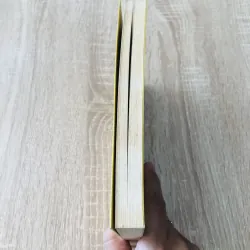 CHỜ ĐẾN MẪU GIÁO THÌ ĐÃ MUỘN 1000658