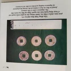 HÌNH ẢNH GIAO LƯU VĂN HÓA VIỆT NAM - NHẬT BẢN TẠI HỘI AN 975495