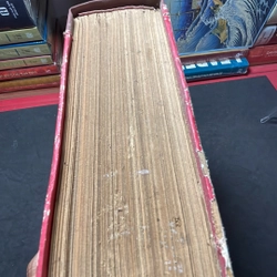 Thể thao và văn hoá Thông tấn xã Việt Nam 1988 302986