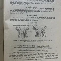 Bệnh học thần kinh - LÊ VĂN THÀNH - sách y khổ lớn  1006357