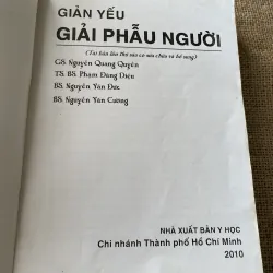 Giản yếu Giải phẫu người -NGUYỄN QUANG QUYỀN,PHẠM ĐĂNG DIỆU NGUYỄN VĂN ĐỨC NGUYỄN V. CƯỜNG 792205
