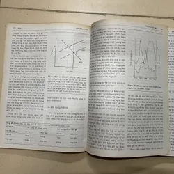 Kinh Tế Học - David Begg 720629